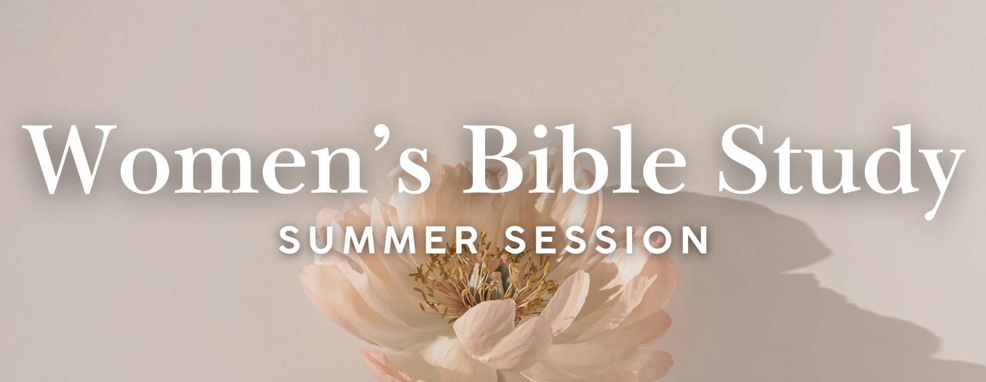 Women's Bible Study - Summer Session
